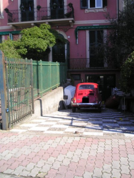 132_genes_fiat500